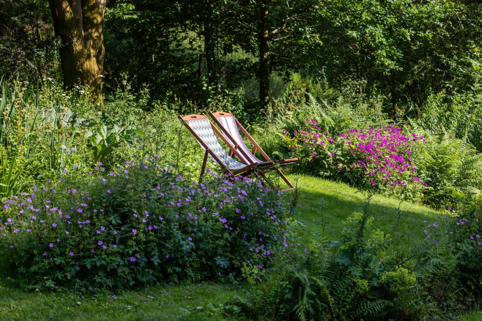 River Cottage, A Luxurious And Cosy Riverside Cottage For Two Уэлшпул Экстерьер фото